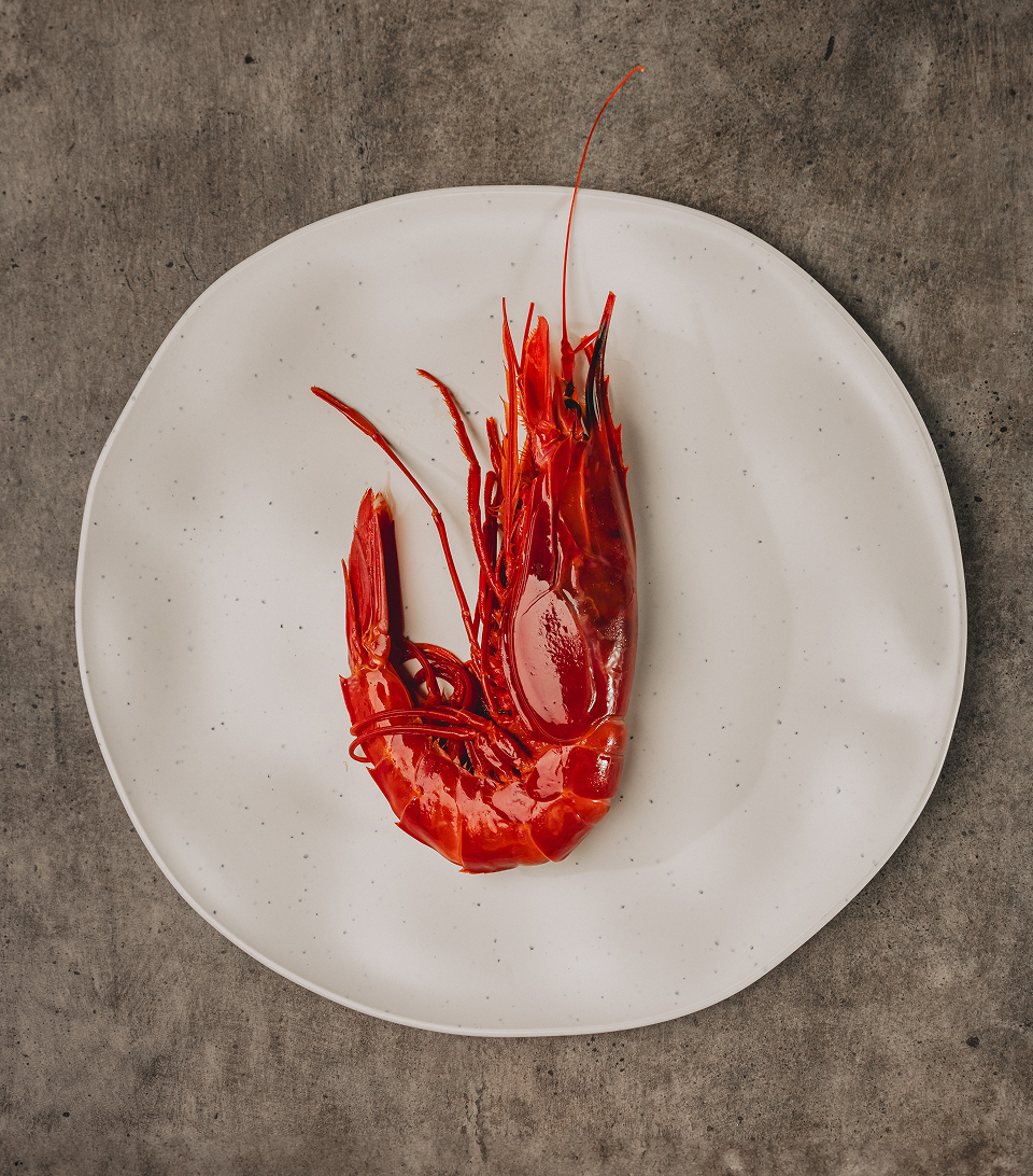 Langostino sobre plato Betik